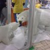 9. Међународни Фестивал Науке 2015.